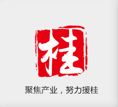 聚焦產(chǎn)業(yè)，努力援桂